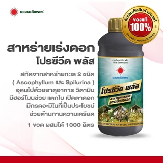 สาหร่ายเปิดตาดอก-โปรซีวีด พลัส 1 ลิตร เปิดตาดอก เร่งออกดอกทุเรียน ไม้ผล ดอกดก ดอกสมบูรณ์