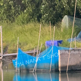 Insect Net ตาข่ายผ้ามุ้งฟ้า มีคุณสมบัติใช้ทำลานตากข้าว/ทำคอกสัตว์กันยุงและใช้ในการประมงช่วยยืดอายุก