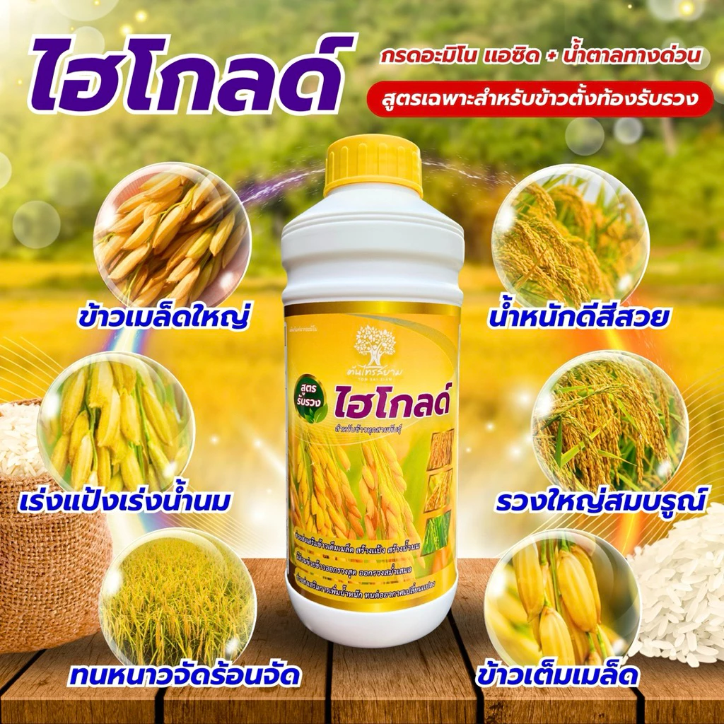 ไฮโกลด์ สูตรข้าวตั้งท้องรับรวงสารสกัดเข้มข้น ขนาด 1 ลิตร ข้าวเมล็ดใหญ่ น้ำหนักดี สีสวย รวงใหญ่ยาว ทนต่อทุกสภาพอากาศ