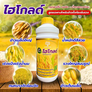 ไฮโกลด์ สูตรข้าวตั้งท้องรับรวงสารสกัดเข้มข้น ขนาด 1 ลิตร ข้าวเมล็ดใหญ่ น้ำหนักดี สีสวย รวงใหญ่ยาว ทนต่อทุกสภาพอากาศ