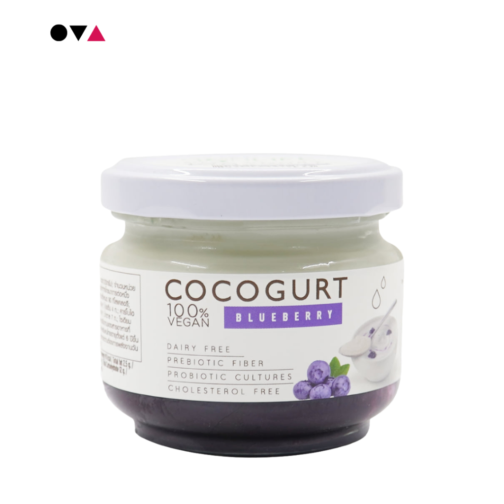 Agrilife Cocogurt Blueberry 120g | โยเกิร์ตมะพร้าว รสบลูเบอร์รี่ วีแกน