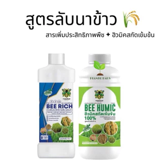 เซตคู่ สูตรลับนาข้าว บีริช บีฮิวมิค สารเพิ่มประสิทธิภาพพืช ฮิวมิคสกัดเข้มขวด 1ลิตร