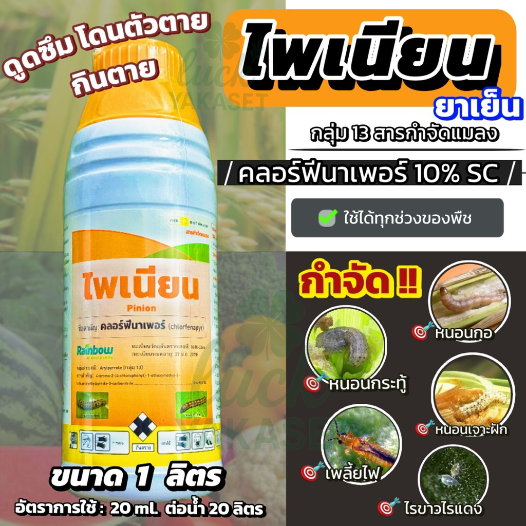 ไพเนียน(คลอร์ฟีนาเพอร์10%) 1ลิตร ยาเย็นใช้ได้ทุกช่วง กำจัดหนอน หนอนกอ แทรกซึมดูดซึม โดนตัวตาย กินตาย Rainbow