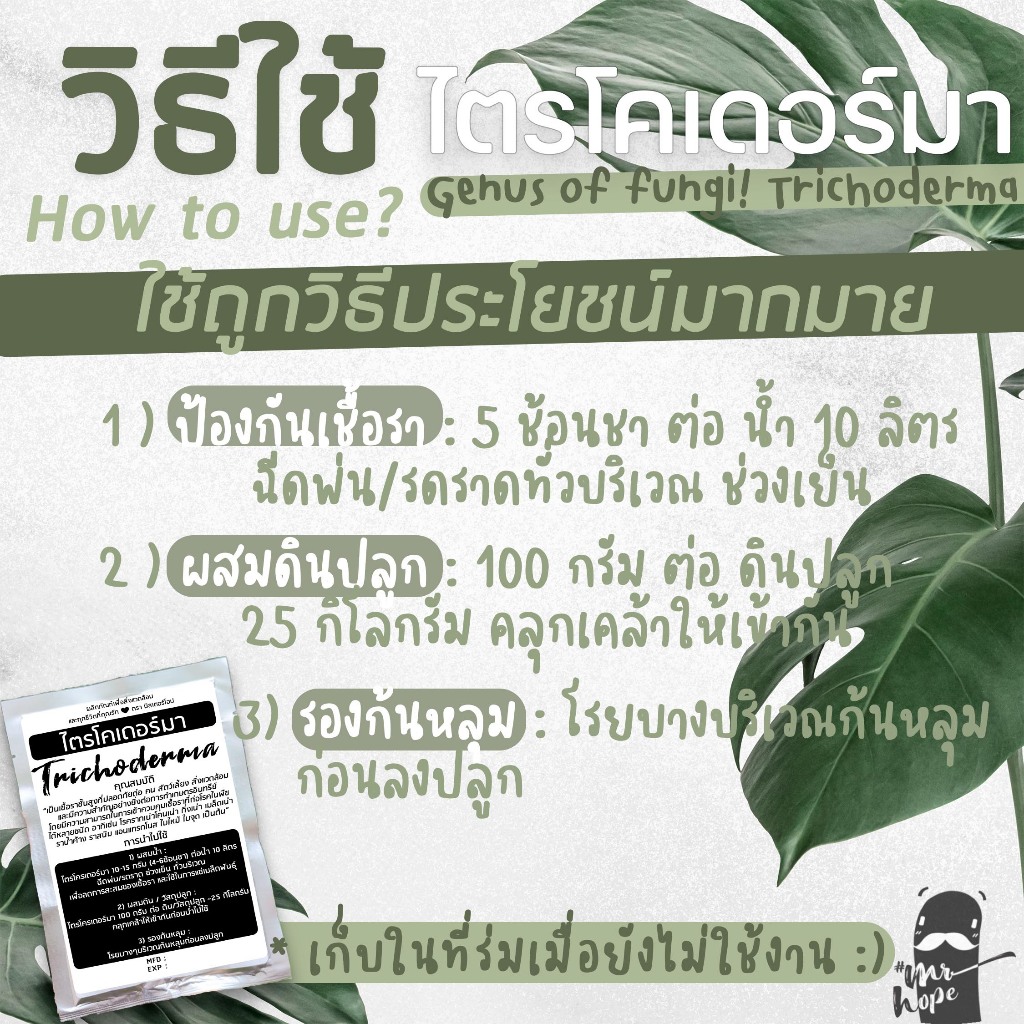ไตรโคเดอร์มา ชนิดผง100กรัม x 3ชอง # trichoderma ป้องกันและกำจัดโรคพืชที่เกิดจากเชื้อรา ราคา ถูกที่สุด ดีลบีเคเค แกลเลอรีภาพที่ 5