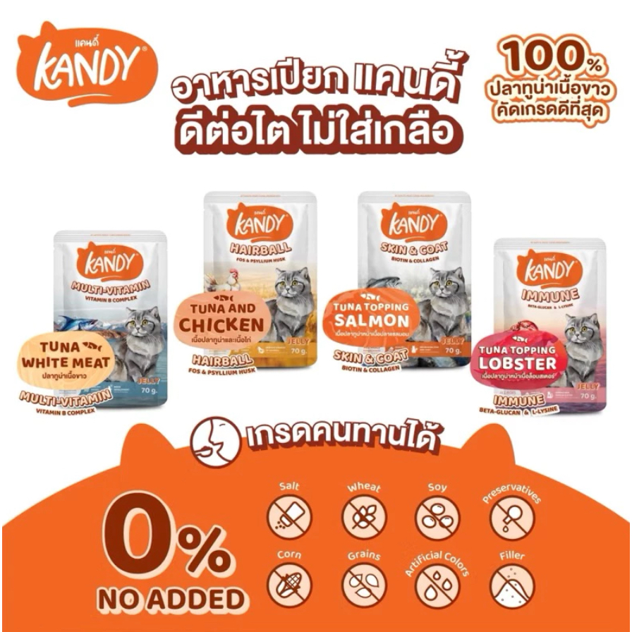 Kandy Cat Pouch in Jelly ❤️😺 แคนดี้ อาหารเปียกสำหรับแมวในเยลลี่บรรจุ 70g
