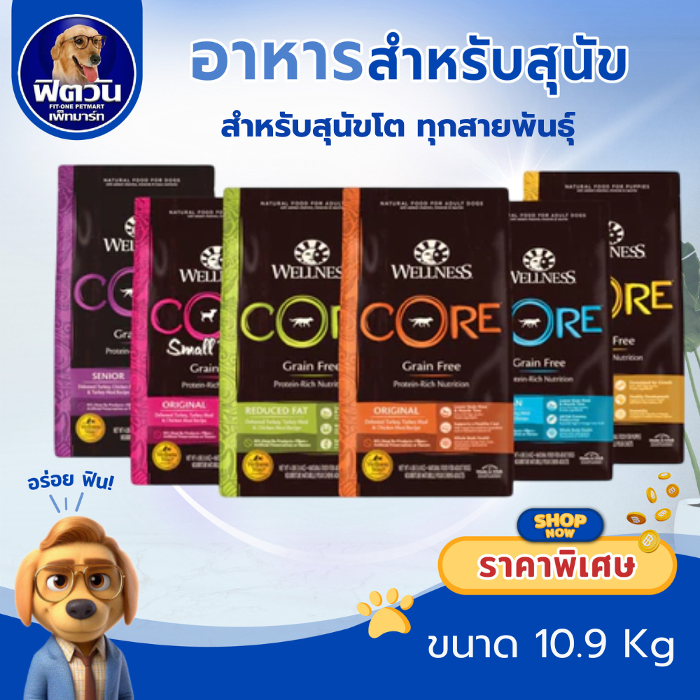 อาหารสุนัข WELLNESS CORE ทุกสูตร ขนาด 10-11.8 กก.