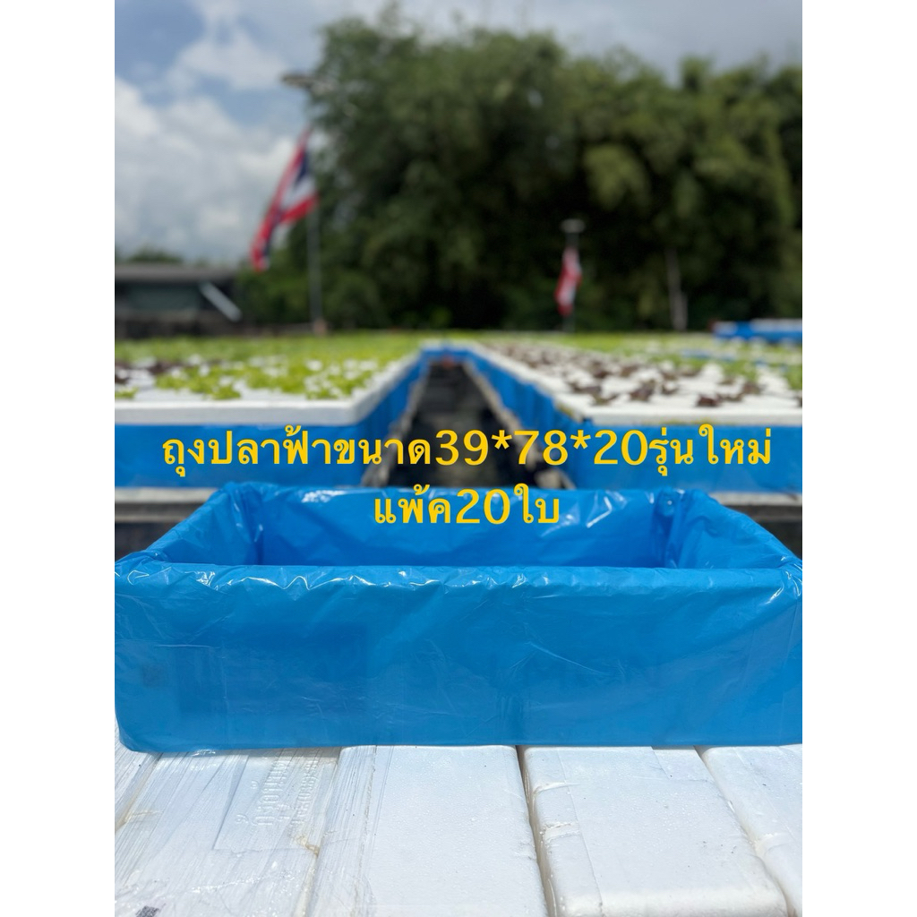 ถุงปลาสีฟ้ารุ่นใหม่ล่าสุดแพ้ค20ใบ