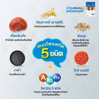 MyBraini+ (มายไบรนี่พลัส) โปร 5 กล่อง - รบำรุงสมอง ความจำ คิดค้นโดยผู้เชี่ยวชาญด้านสมุนไพรกว่า 10ปี