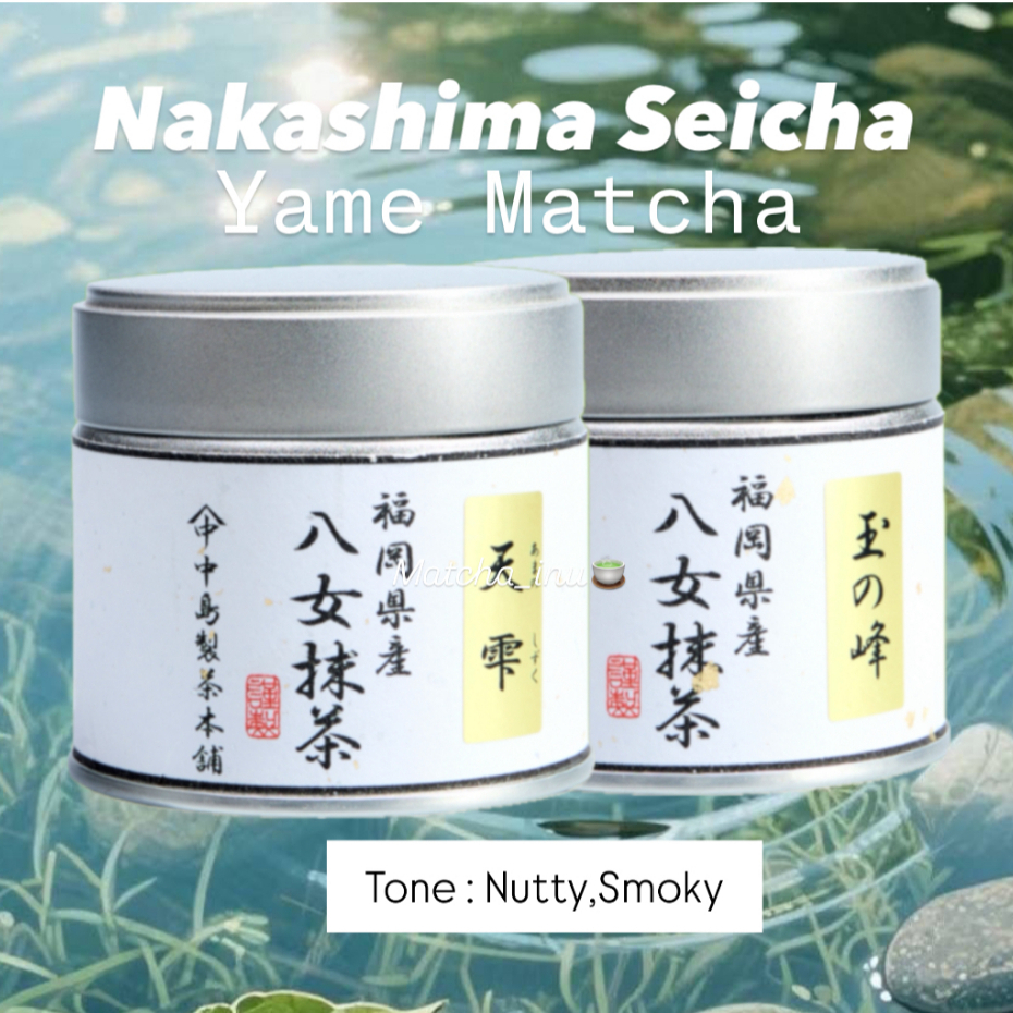 [พร้อมส่ง] Nakashima Seicha มัทฉะเกรดพิธีการ โทนถั่วคั่ว ยาเมะ ฟุกุโอกะ แท้จากญี่ปุ่น