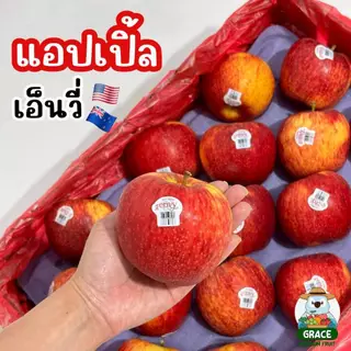 แอปเปิ้ลเอ็นวี่ Envy Apple อเมริกา ไซส์ L