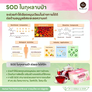 คอร์ส10วัน 1แถม1 [ทานได้ถึง20วัน] โปรS ไม่เห็นผลคืนเงิน Rosehipชายุโรป ลดไขมัน,น้ำตาลอย่างอ่อนโยน เบาหวาน,ความดัน มีอย.