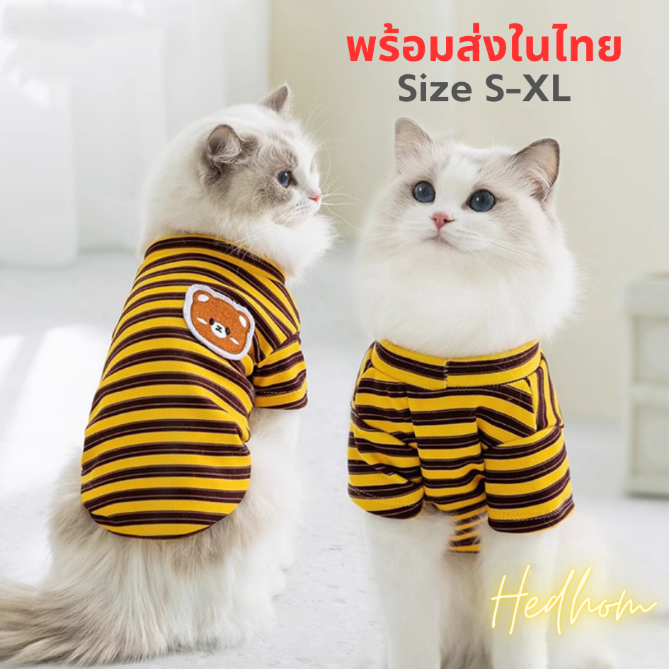NEW‼️ชุดหมาแมวสวมสองขาแบบมีแขน ลายทางอกหมี ผ้านุ่มใส่สบาย