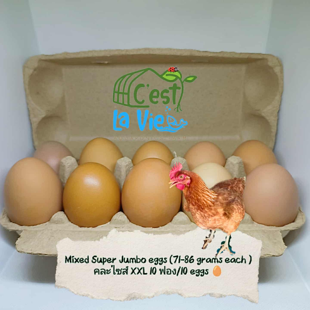 ไข่ไก่ปล่อยอิสระคละไซส์ XXL 10ฟอง Free-range XXL Mixed Eggs 10pcs(ไข่แฝดอาจจะมีปนอยู่ในนี้)ทานดิบได้