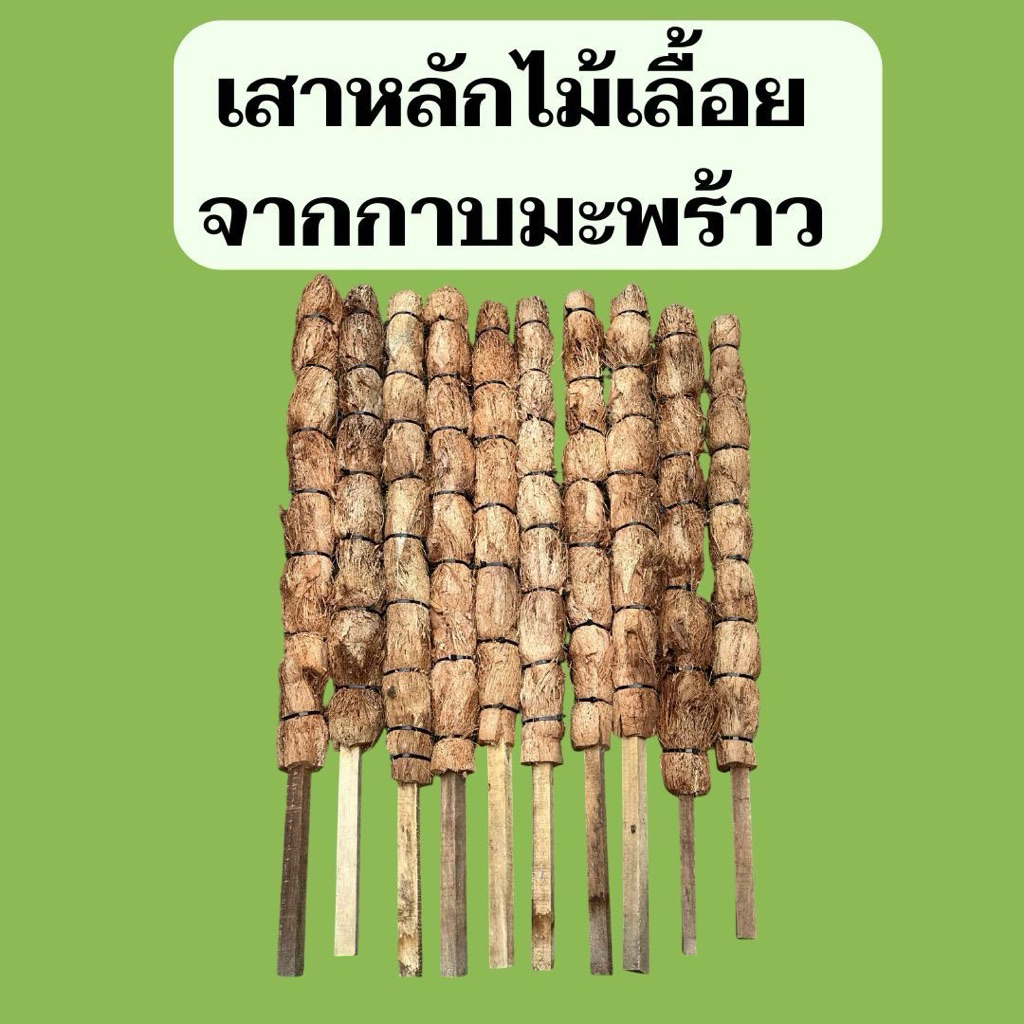 เสาหลักไม้เลื้อย เสากาบมะพร้าว เสาพลู ความสูง 1 เมตร ทำจากวัสดุธรรมชาติ