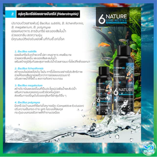 🆕 6NATURE จุลินทรีย์ตู้ปลา Nitrifying + Bacillus รวม 6 สายพันธุ์ น้ำใส ลดกลิ่น ตั้งตู้/บ่อปลา ไม้น้ำ กุ้ง