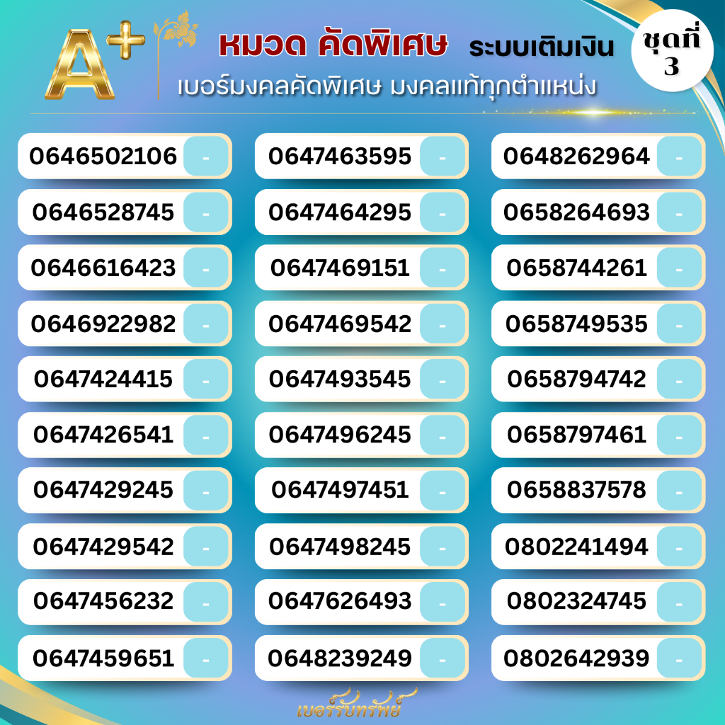 ซิมเบอร์มงคลVIPแบบเติมเงิน ชุดที่ 3