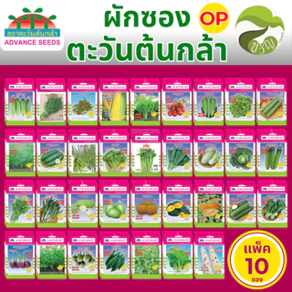 เมล็ดพันธุ์ผักซอง ผักซอง ตราตะวันต้นกล้า (OP) ยกแพค บรรจุ 10 ซอง ราคาส่ง ราคาถูก ล็อตใหม่ล่าสุด
