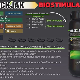 แบล็คแจ็ค #ลีโอนาไดท์บริสุทธิ์ จากธรรมชาติ 100% เพิ่มจุลินทรีย์ในดิน ช่วยเสริมโครงสร้างของดินและลำต้น