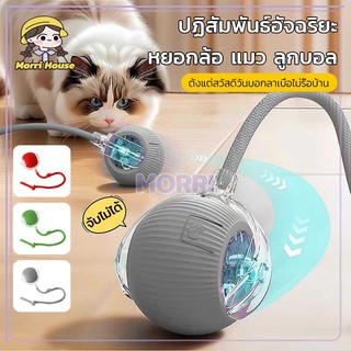 ของเล่นแมว ลูกบอลแมวอัติโนมัติ เรืองแสง ลูกบอลแมว หมุนได้360องศา พร้อมสายชาร์จ ของเล่นสัตว์เลี้ยงไฟฟ้า
