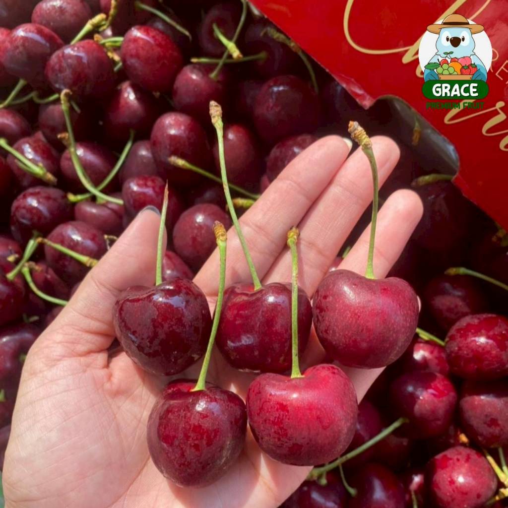 ส่งรถเย็น 0-8 องศา Fresh Cherry 🍒 เชอรี่แทสมาเนีย จัมโบ้ สด ก้านเขียว หวานกรอบ - รูปที่ 7