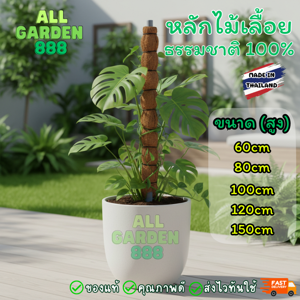 หลักมะพร้าว เสาไม้เลื้อย เสารองรับต้นไม้เลื้อย มอนสเตอร่า พลูด่าง ฟิโลเดนดรอน เเละไม้เลื้อยอื่นๆ มีหลายขนาด 60-150cm