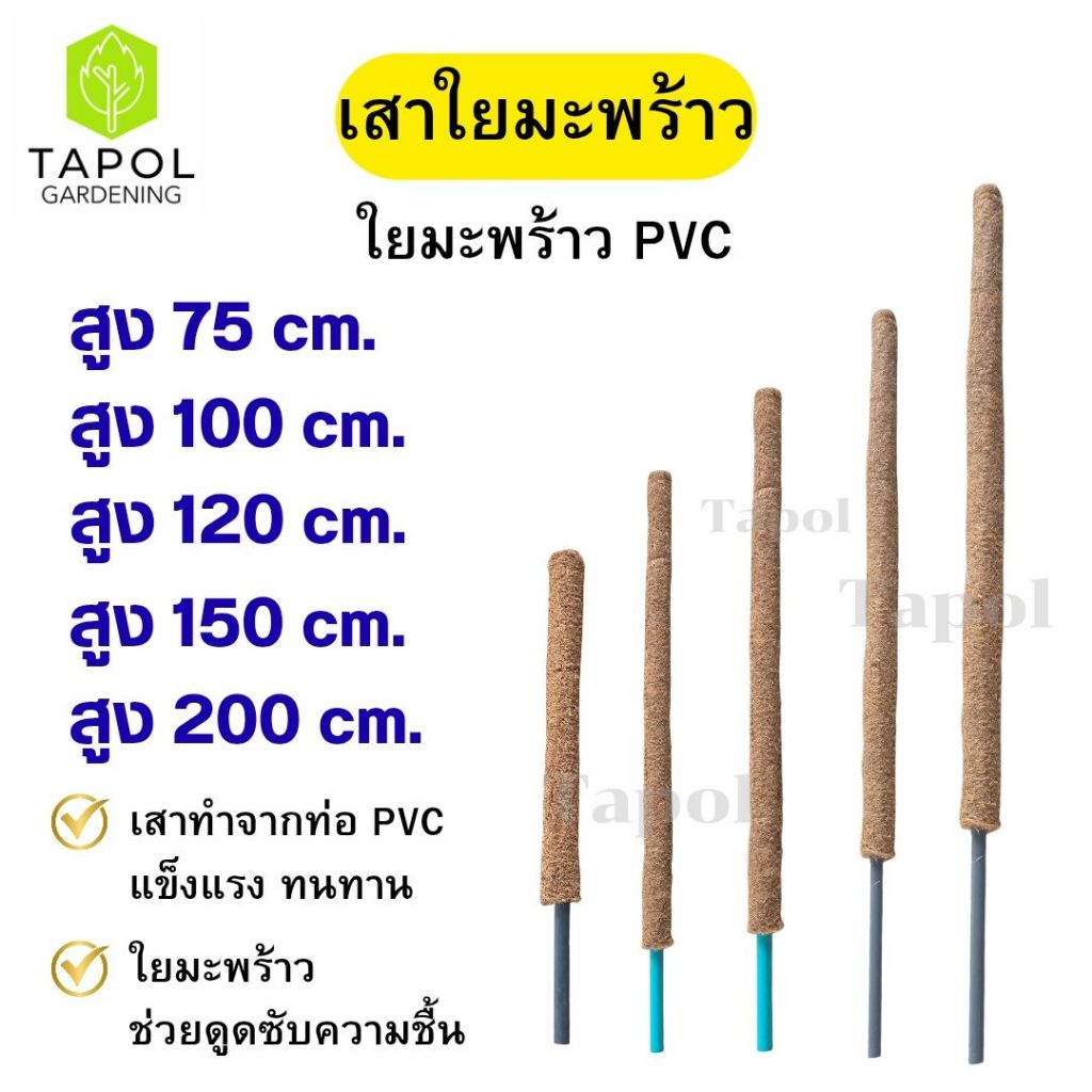 เสาใยมะพร้าว เสาทำจากท่อ PVC ใช้ปลูกไม้เลื้อยและไม้ประดับ แข็งแรง มีหลายขนาดให้เลือก
