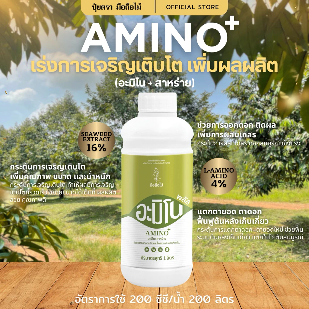 อะมิโนพลัส (อะมิโน+สาหร่าย) สูตรเข้มข้น เร่งการเติบโต เพิ่มผลผลิต