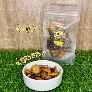 🦗🐛แมลงรวมฟรีซดราย หนอนไม้ไผ่ หนอนไหม สะดิ้ง จิ้งหรีด ด้วงสาคู น้ำหนัก 10g.