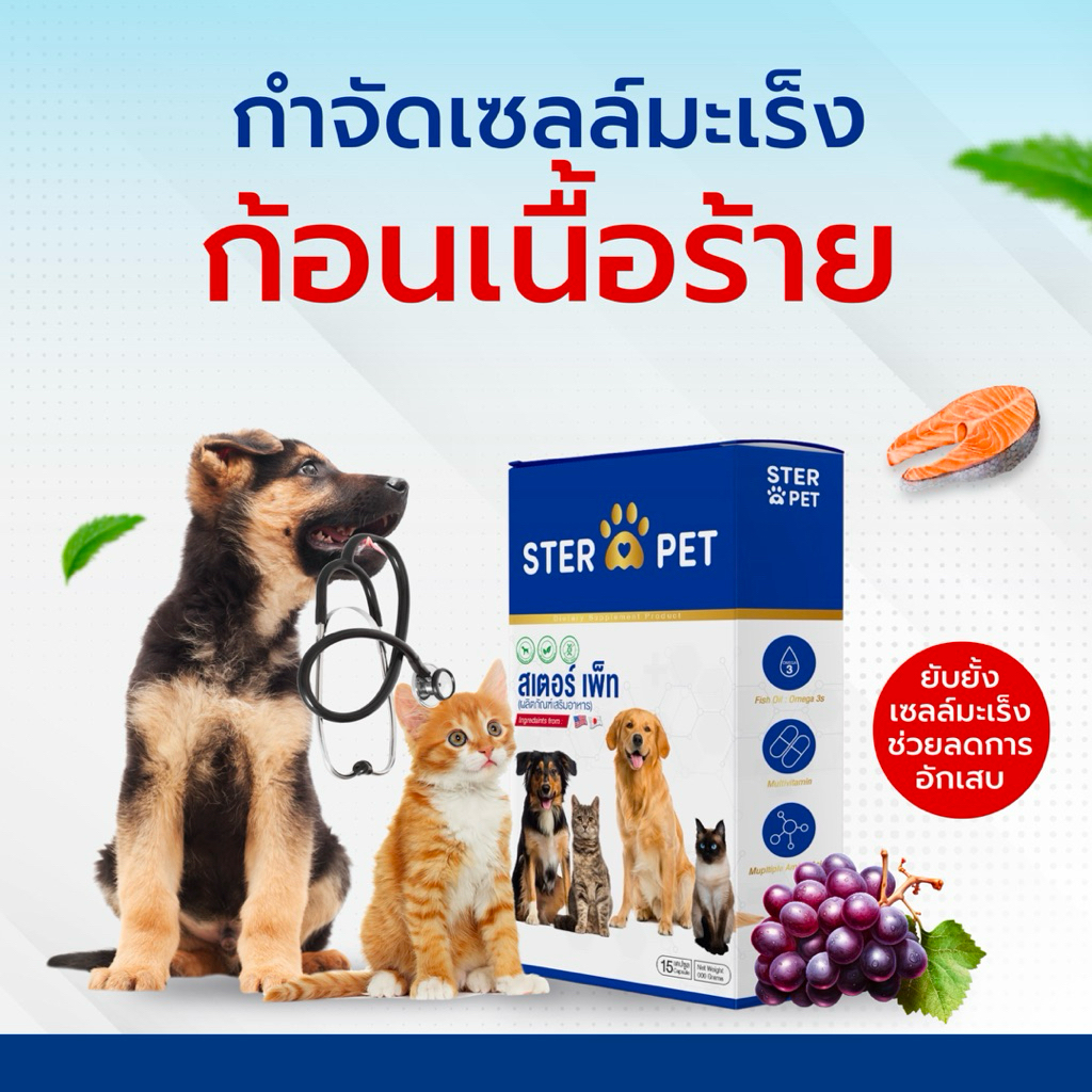 <<ของแท้>>STER PET - สเตอร์เพ็ท ดูแลสุขภาพน้องหมา แมว ครบวงจร 1 กล่อง บรรจุ 15 แคปซูล