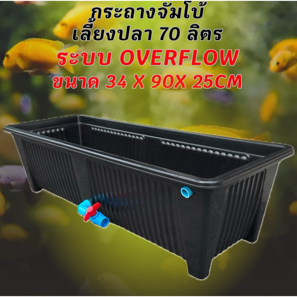 กระถางเลี้ยงปลาไซซ์จัมโบ้สีดำ วาวล์ฟ้า ระบบoverflow ขนาด34x90x25CM กะบะเลี้ยงปลา อ่างเลี้ยงปลา อ่างเลี้ยงปลาเมกาดะ