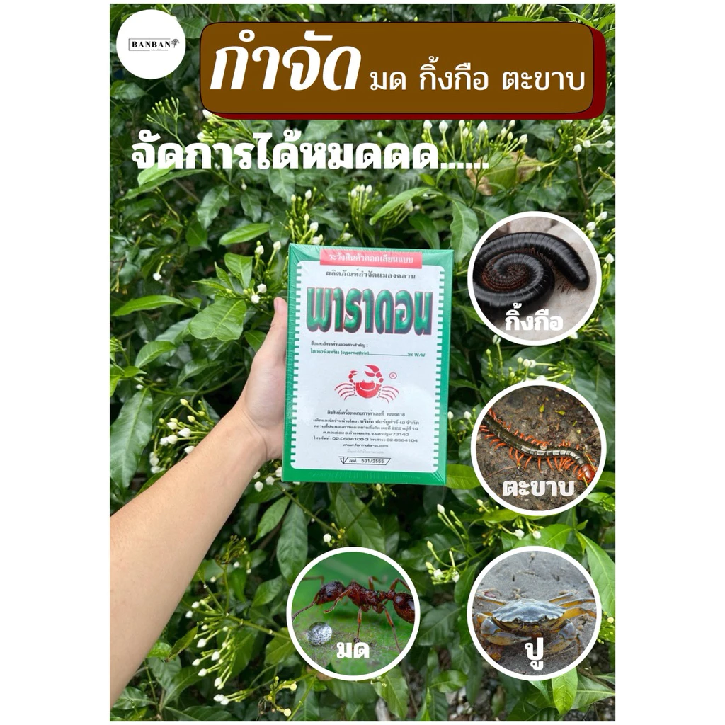 พาราดอน ยาเบื่อปู ผงโรยมด ตะขาบ ตะเข็บ กิ้งกือ (น้ำหนัก500กรัม)