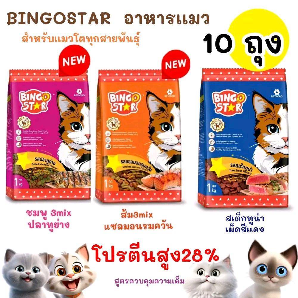 ทำโปร[ แพค 10 ถุง.] อาหารเเมว BINGOSTAR 3mix สำหรับเเมวโต1+  [ 10 ถุง บิงโกสตาร์.] มี 3 แบบ