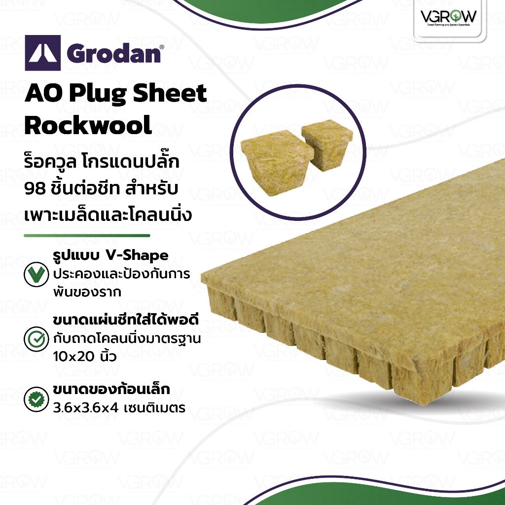 Grodan AO plug Rockwool ร็อควูล โกรแดน ปลั๊ก 98 ชิ้นต่อชีท เพาะปลูก เพาะชำ โคลนนิ่ง โกรแดนชีทใยหิน98