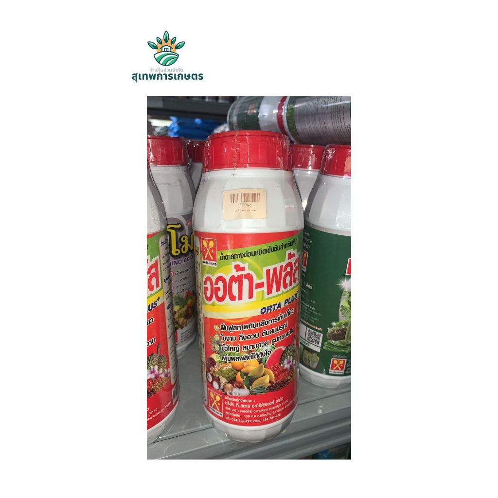 ออต้า- พลัส  (Orta Plus+) ช้อนทอง