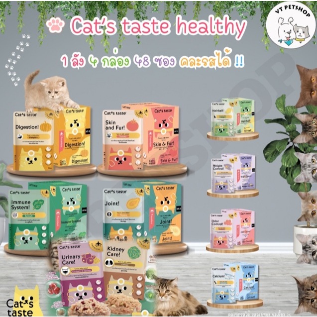 (48 ซอง) อาหารเปียกแมว Cat’s Taste Healthy 4กล่อง (48 ซอง) “เนื้อเยลลี่” เพื่อสุขภาพที่ดีของน้องๆ