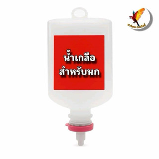 น้ำเกลือสำหรับนก – ช่วยดูแลความสมดุลร่างกาย เหมาะกับนกทุกวัย