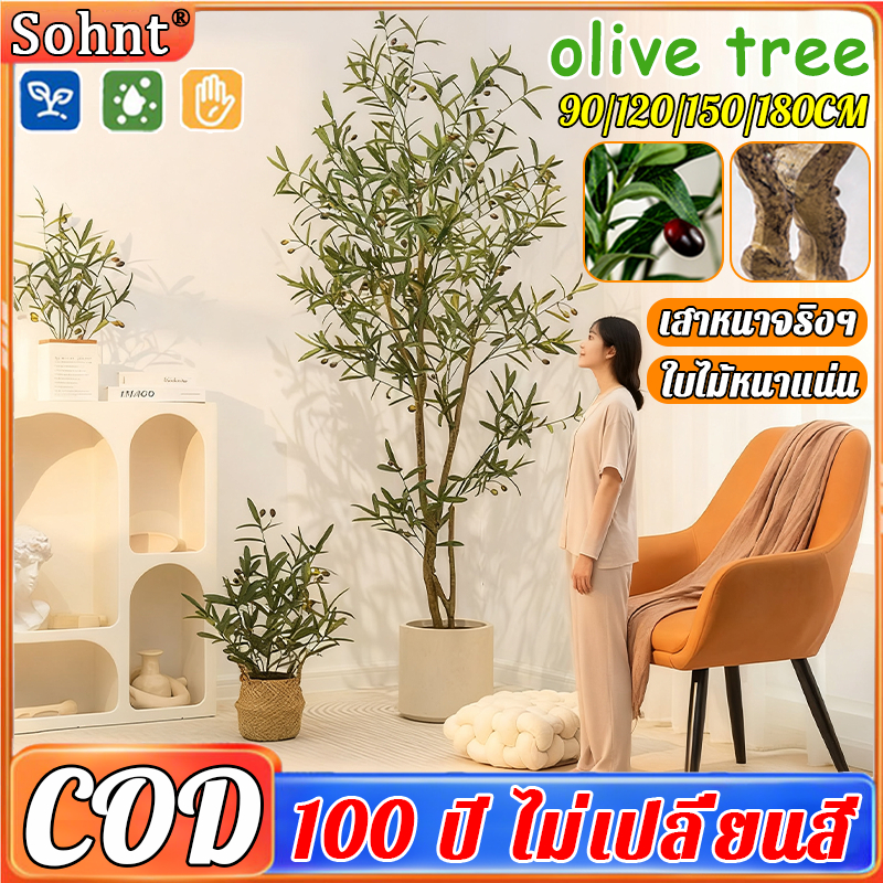 🌴สั่งแล้วฟรีกระถางดอกไม้🌴ต้นโอลีฟ ต้นมะกอกปลอม ความจำลอง 99.9% ของแต่งบ้าน (สินค้าตรงปก มีคุณภาพ!)