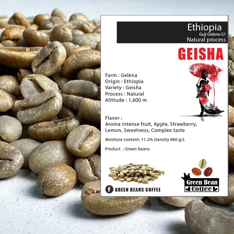 สารกาแฟ ETHIOPIA GUJI GELENA GEISHA " Natural " Green Bean ขนาด 1,000 กรัม