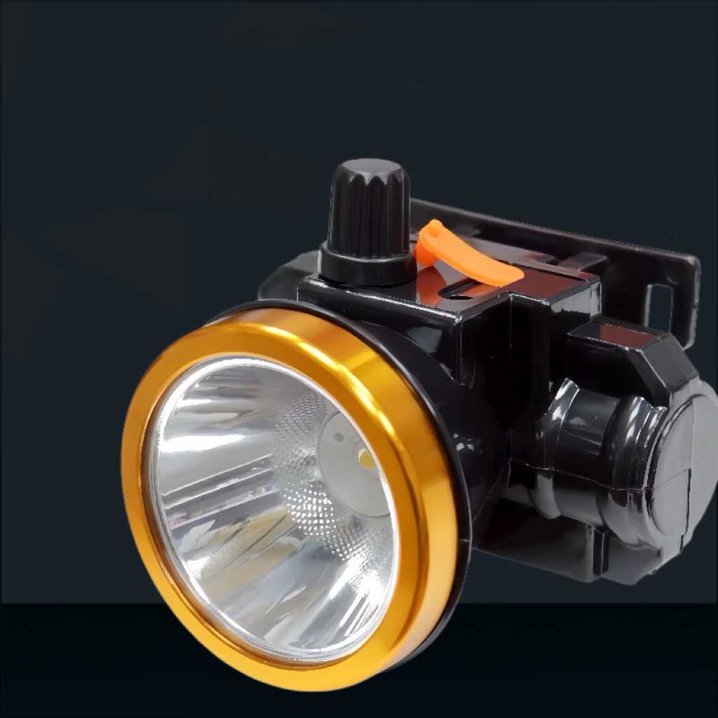 รูปภาพ 7