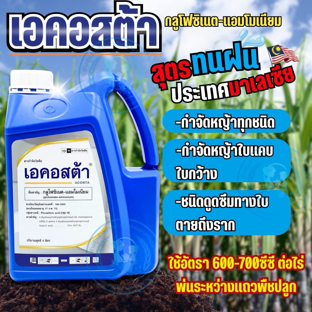 ผลิต 16/05/25 เอคอสต้า กลูโฟซิเนต-แอมโมเนียม 4 ลิตร ตราหัวม้า กำจัดวัชพืชประเภทใบแคบและใบกว้าง เผาไหม้ รุ่นใหม่