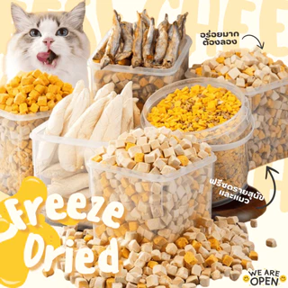 [สินค้าสั่งผลิต] Dogfin ขนมฟรีซดราย (Freeze Dried) สำหรับสุนัขและแมวทุกสายพันธุ์