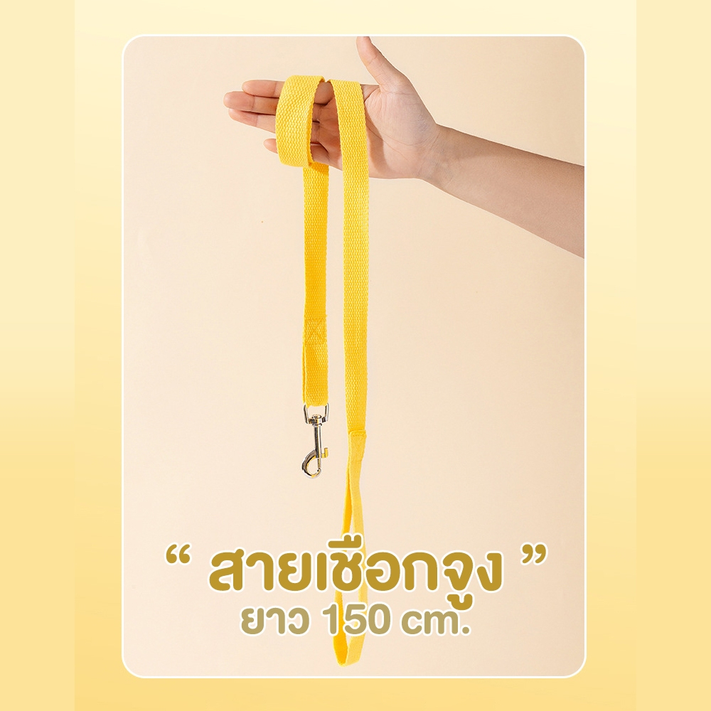 เชือกจูงแมว รุ่นOP213 สายจูงแมว สายรัดอกแมว สายจูงสุนัข 3pcs หมวกกันแดด สายรัดหน้าอก รูปที่ 4