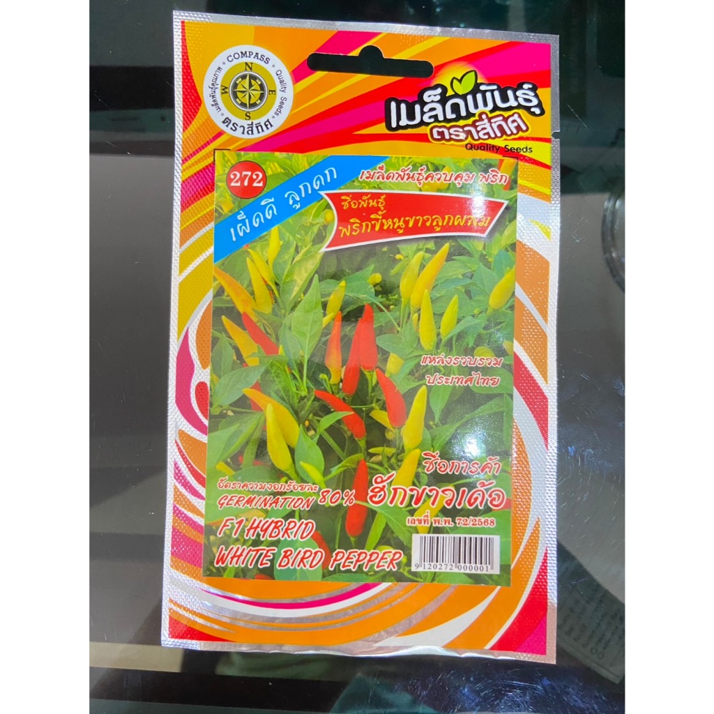 เมล็ดพริกขี้หนูขาว ลูกผสม (10 แถม 1 คละได้ สีเดียวกัน) เผ็ดดี ลูกดก