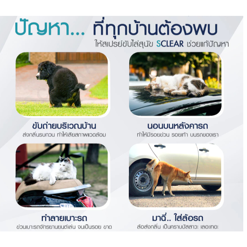 【Buy1 take 10】Ketzuzu สเปรย์ดับกลิ่นฉี่แมว สเปรย์ดับกลิ่นสัตว์เลี้ย ทรายแมว ฆ่าเชื้อ สเปรย์ดับกลิ่น - รูปที่ 3