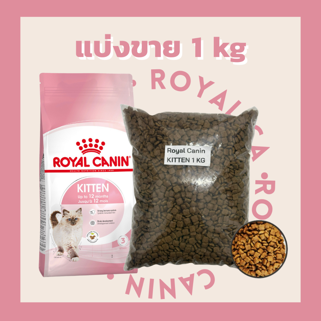 [แบ่งขาย1kg ] Royal Canin อาหารแมวเกรดพรีเมียม รูปที่ 3