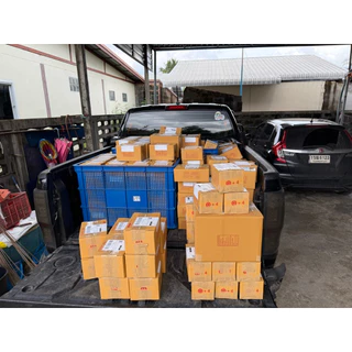 เหยื่อตกปลากดสังข์ทอง ขนาด 500 กรัม