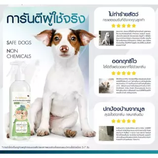 🔥พร้อมส่ง Ketzuzu สเปรย์ดับกลิ่นแมวและสุนัข สูตรฆ่าเชื้อและกำจัดกลิ่นไม่พึงประสงค์ ห้องหอมสะอาด พร้อมส่งทันที