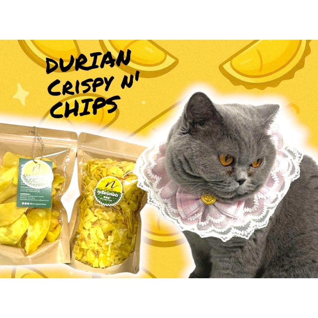 👑ทุเรียนทอด (Durian crispy n' chips)👑