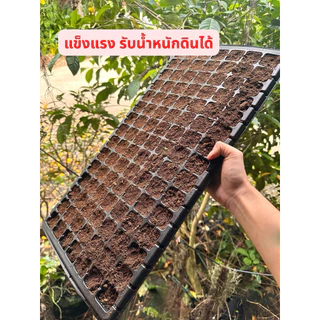 ถาดเพาะกล้า ถาดเพาะเมล็ด | 1ใบ | (หนา 1.0 mm) 32 ,50, 105,128,200 หลุม ถาดเพาะผัก ถาดเพาะชำ แข็งแรง