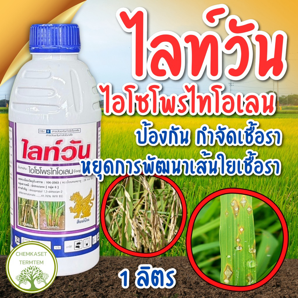 🍀ไลท์วัน🍀ไอโซโพรไทโอเลน 1 ลิตร ยาฉีดข้าวโรคเชื้อรา รักษาใบไหม้ ราหลุม เน่าคอรวง
